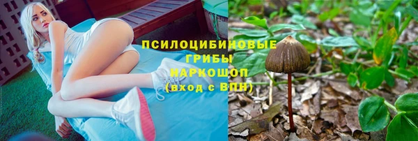 a pvp Бугульма