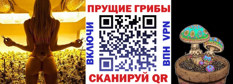 Псилоцибиновые грибы мицелий  продажа наркотиков  Новокузнецк 